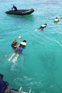 IMG_2238.JPG