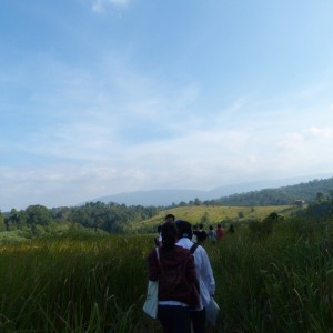 P1100639.JPG
