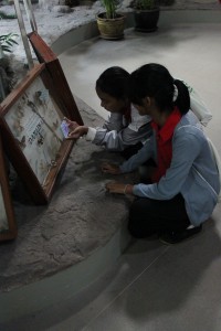 IMG_3459.JPG