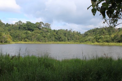 IMG_3563.JPG
