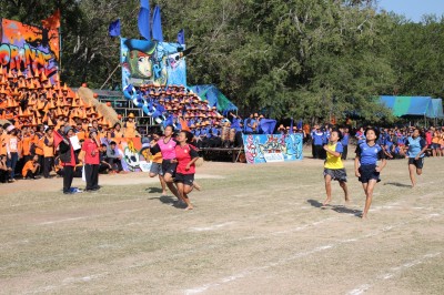 IMG_2440.jpg
