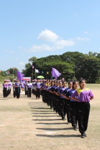 IMG_2600.jpg