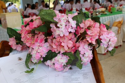 IMG_6609.jpg