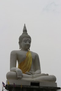 IMG_7071.jpg