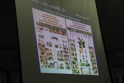 IMG_6104.jpg