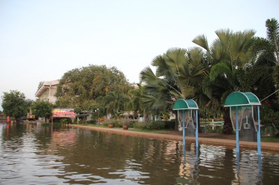 IMG_9480.JPG