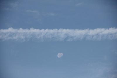 IMG_9942.JPG