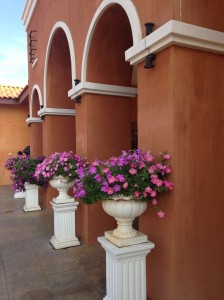 IMG_0433.jpg