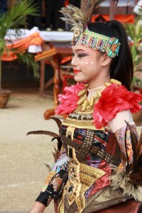 IMG_7649.jpg