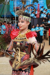 IMG_7655.jpg