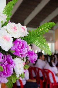 IMG_9553.jpg