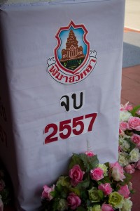 IMG_9554.jpg