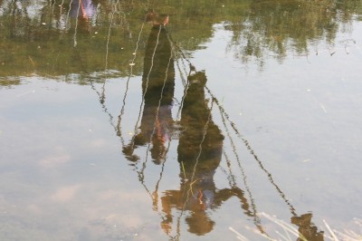 scoutCamp55_321.jpg