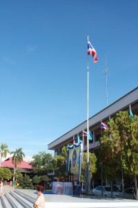 IMG_8684.JPG