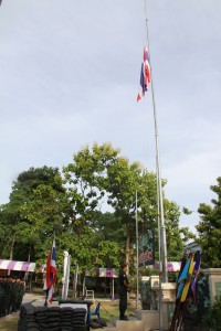 IMG_8950.JPG