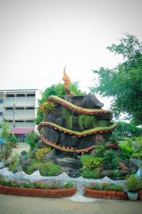 IMG_7689.jpg