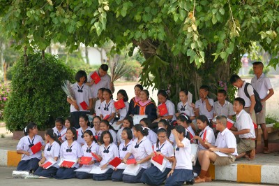 T5D_1044.jpg